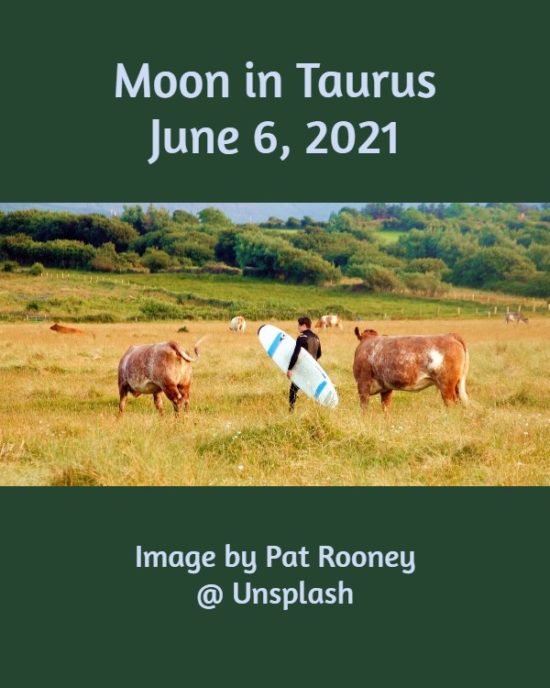 Daily Horoscope: Moon in Taurus, June 6, 2021