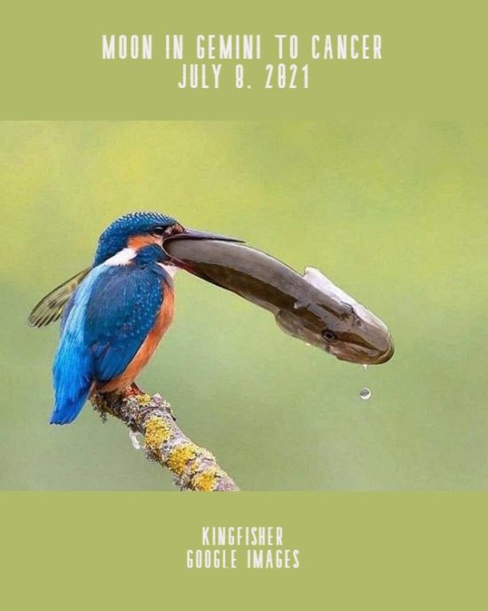Daily Horoscope: Moon in Gemini to Cancer, July 8, 2021