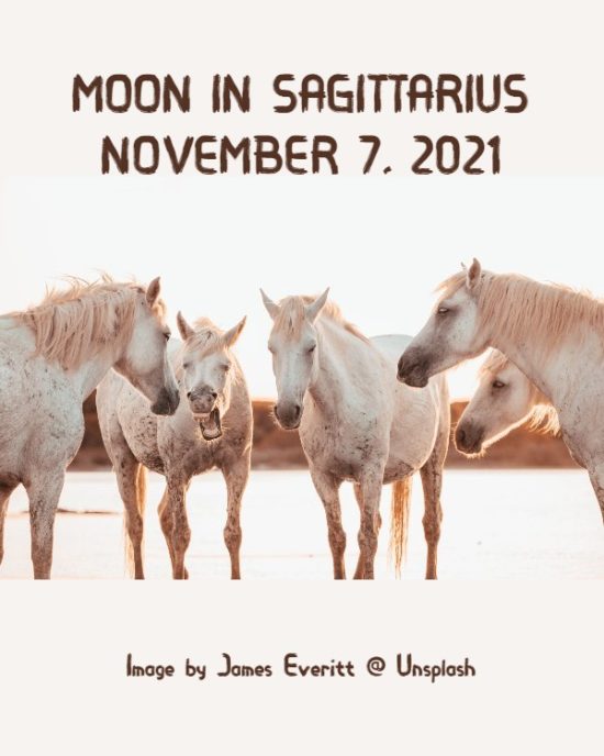 Daily Horoscope: Moon in Sagittarius, November 7, 2021