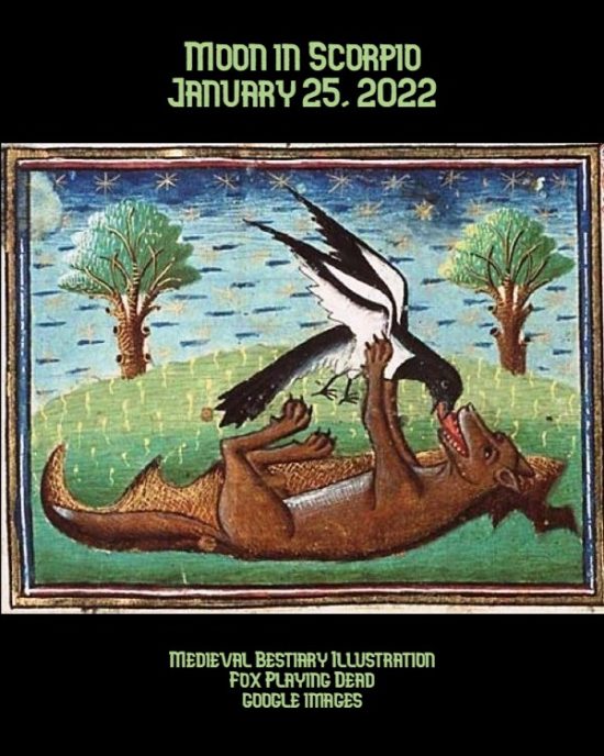 Daily Horoscope: Moon in Scorpio, January 25, 2022