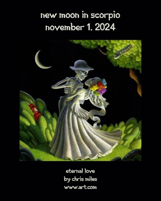 Daily Horoscope: New Moon in Scorpio, November 1, 2023