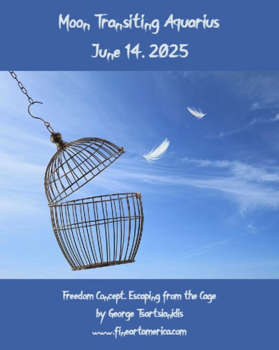 Daily Horoscope: Moon Transiting Aquarius, June 14, 2025