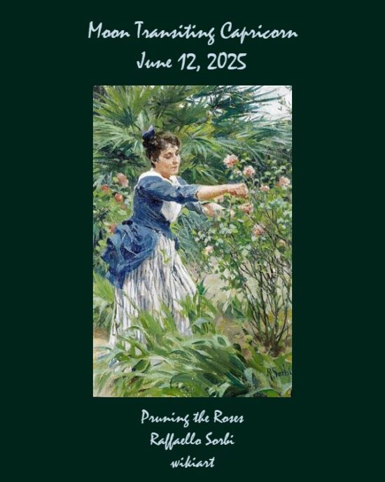Daily Horoscope: Moon Transiting Capricorn, June 12, 2025