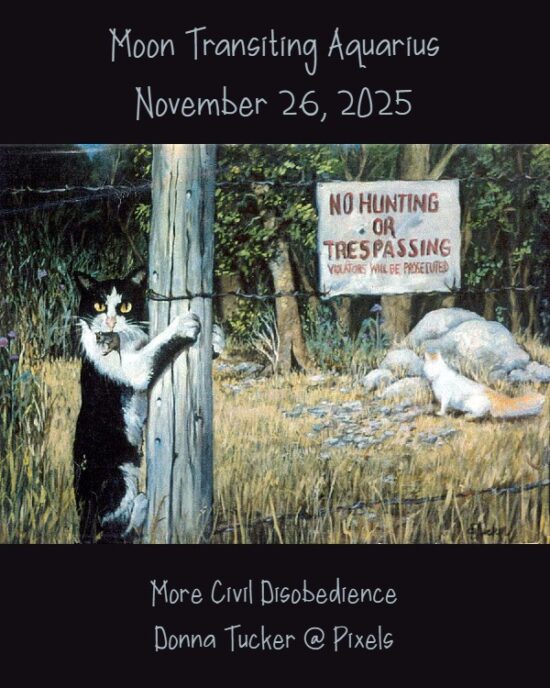 Daily Horoscope: Moon Transiting Aquarius, November 26, 2025