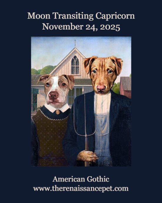 Daily Horoscope: Moon Transiting Capricorn, November 24, 2025