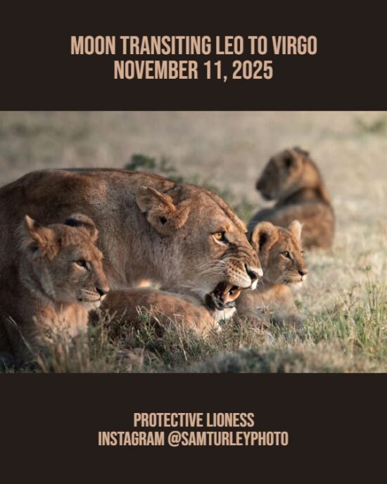 Daily Horoscope: Moon Transiting Leo to Virgo, November 12, 2025